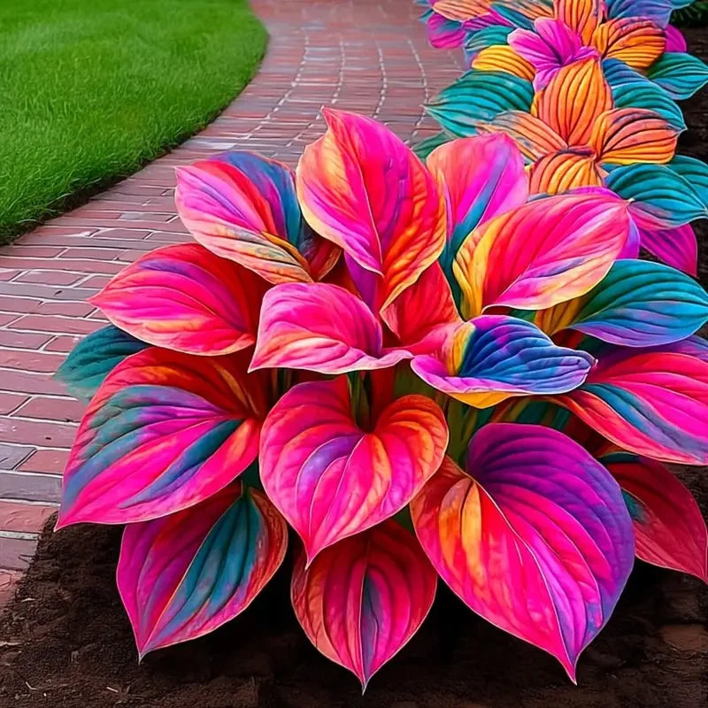 /69c650892959ca00098d6ccb/2026/04/14/product-img-69ddee07f707c0639afa49c9.png